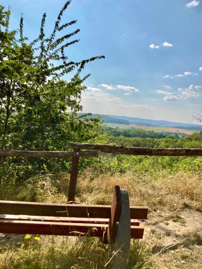 Ferienhaus Moni Mit 2 Separaten Wohnungen Am Silbersee Frielendorf Kültér fotó